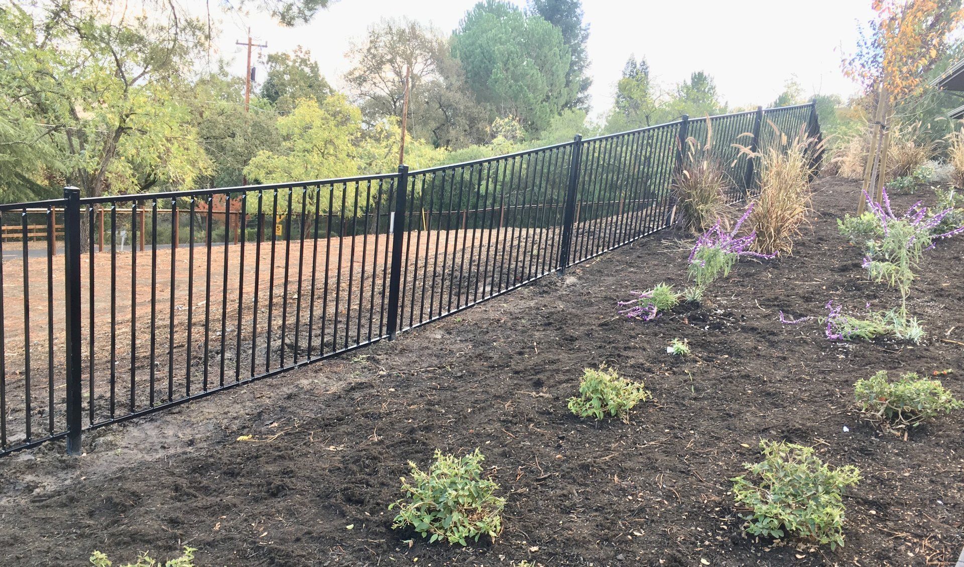 A black metal fence surrounds a lush green field.