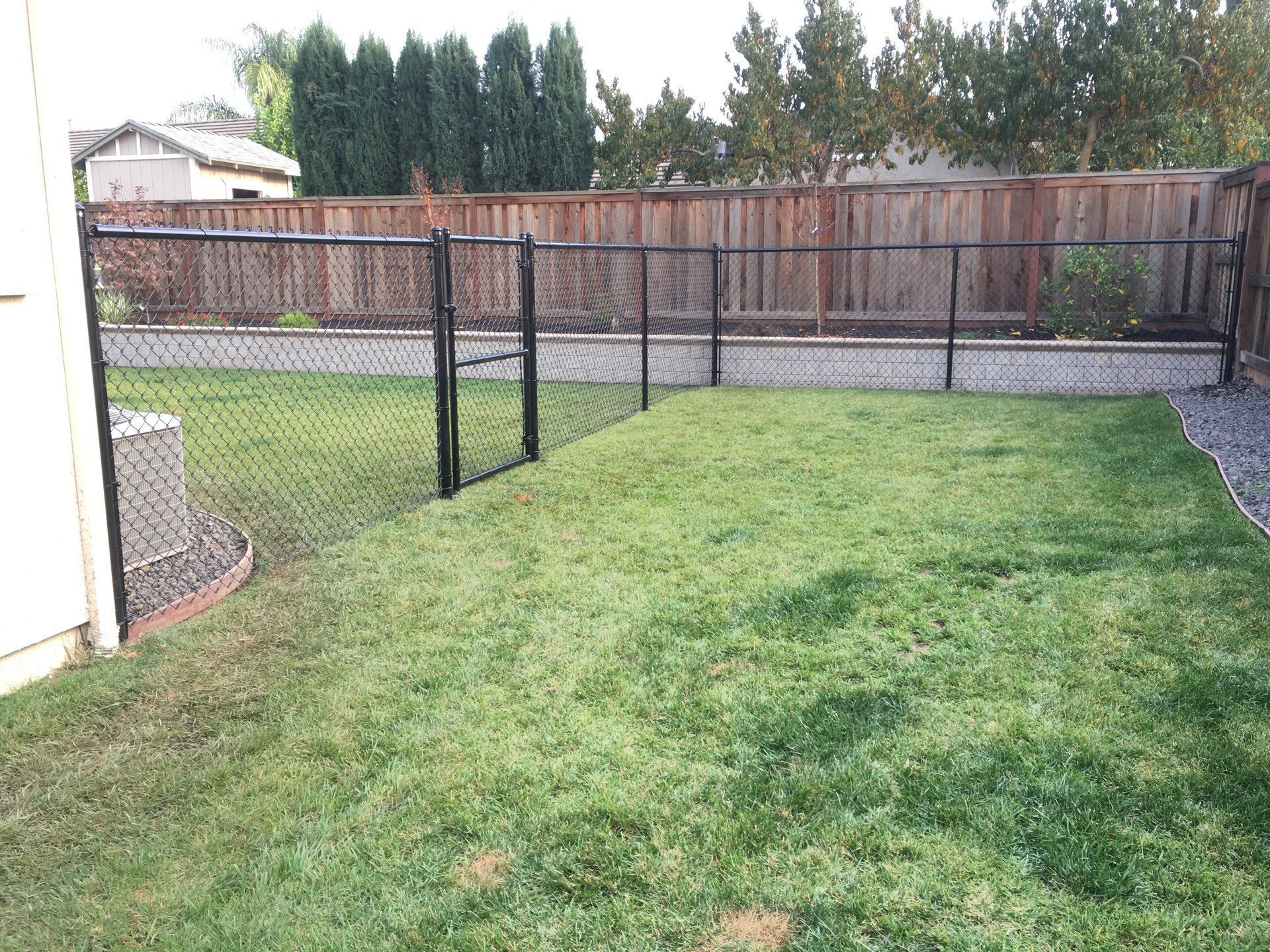 A backyard with a chain link fence and a gate.
