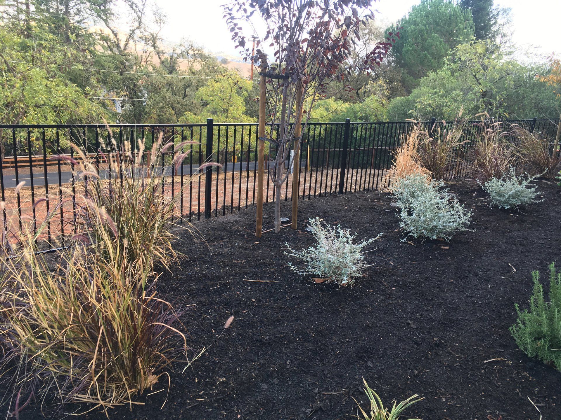 A backyard with a chain link fence and a gate.