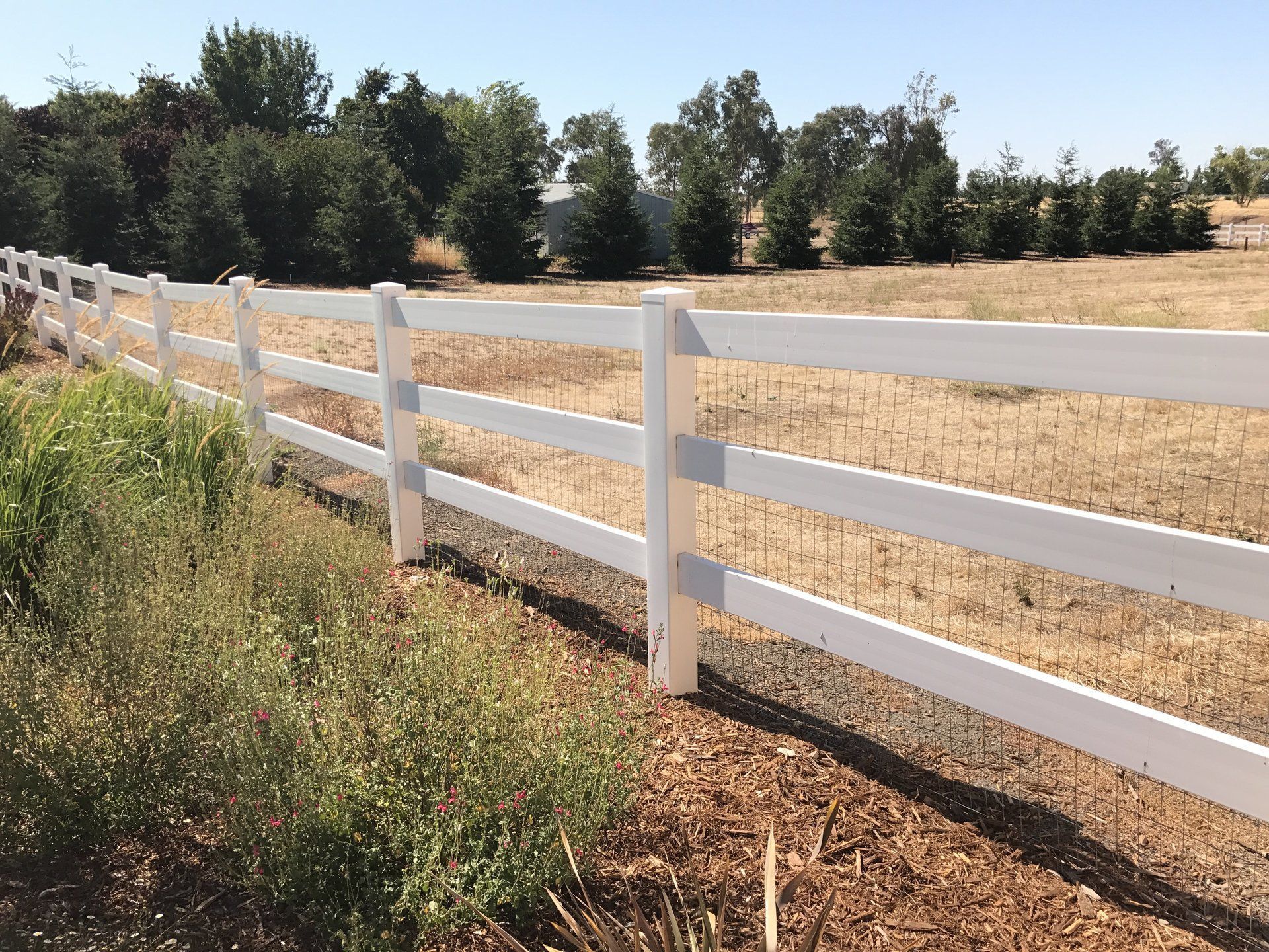 A white fence surrounds a field with trees in the background.