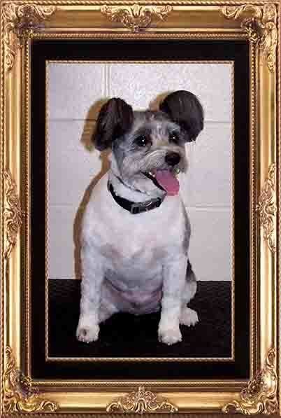 Dog With Tongue Out — Hopewell, VA — Hopewell Animal Hospital