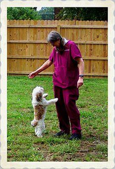 Vet Playing With Dogs — Hopewell, VA — Hopewell Animal Hospital