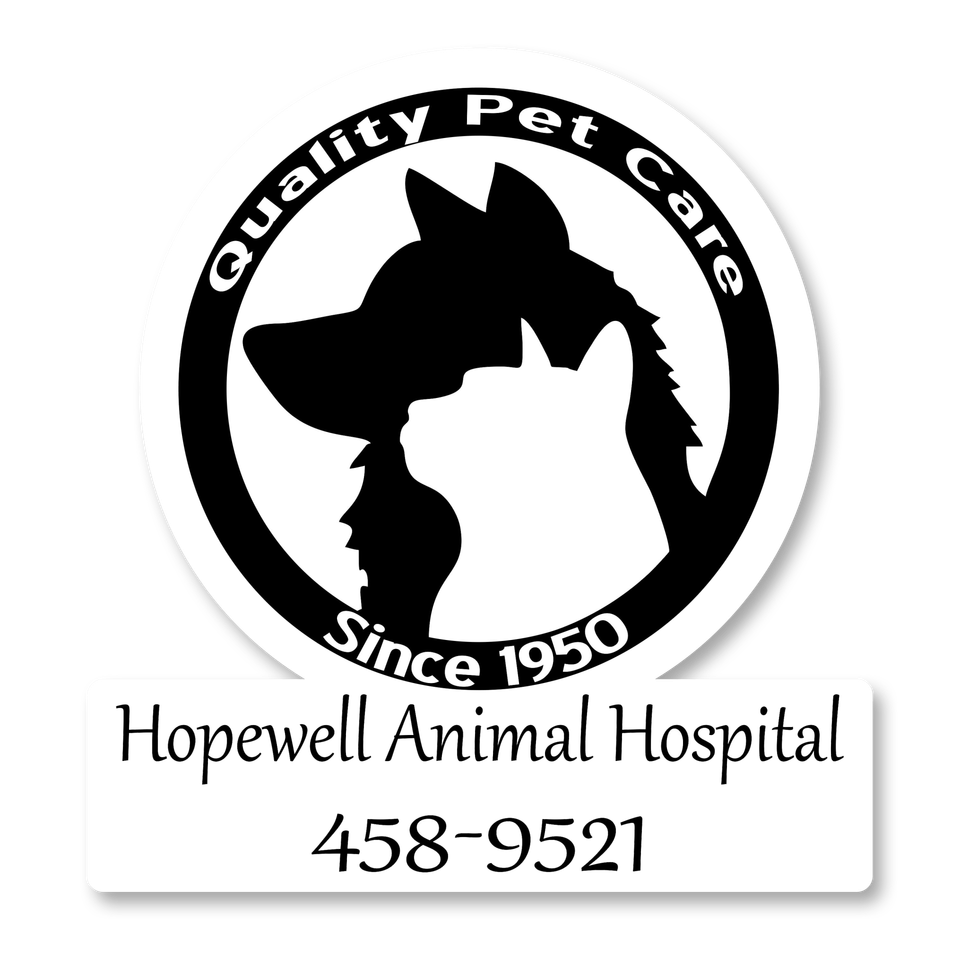 Veterinarian Hopewell Va Hopewell Animal Hospital