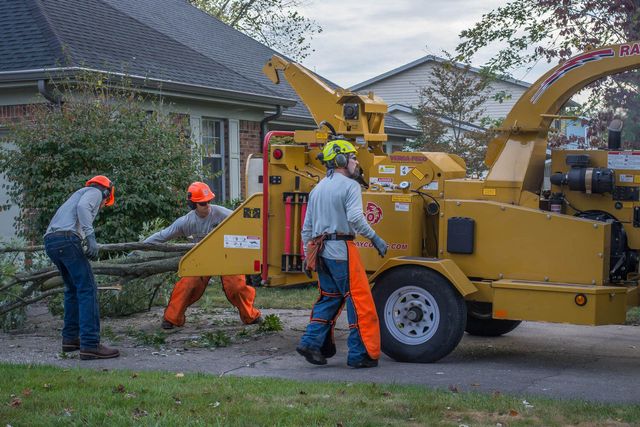 Certified Arborists | Bloomington, IN | Fowler Tree Services