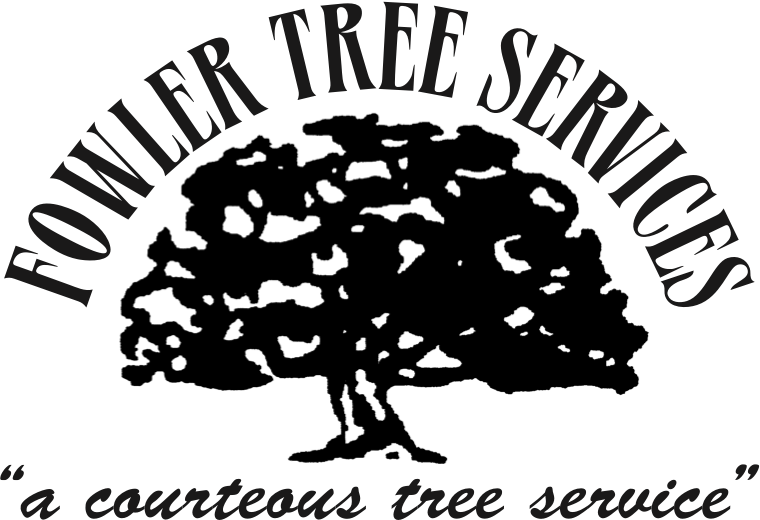 Certified Arborists | Bloomington, IN | Fowler Tree Services