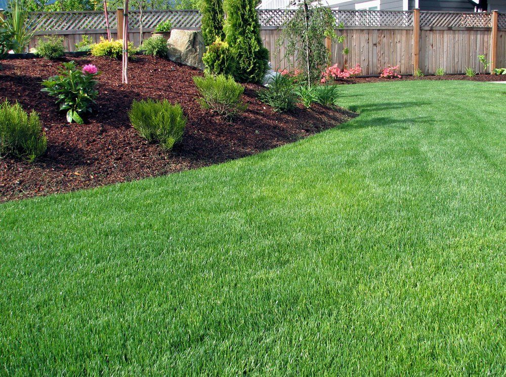 A Lush Green Lawn With a Wooden Fence in the Background — Coffs Chainsaw and Mower in Bellingen, NSW