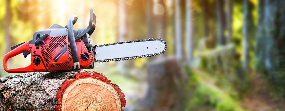 Chainsaw On Wooden Stump — Coffs Chainsaw and Mower in Bellingen, NSW
