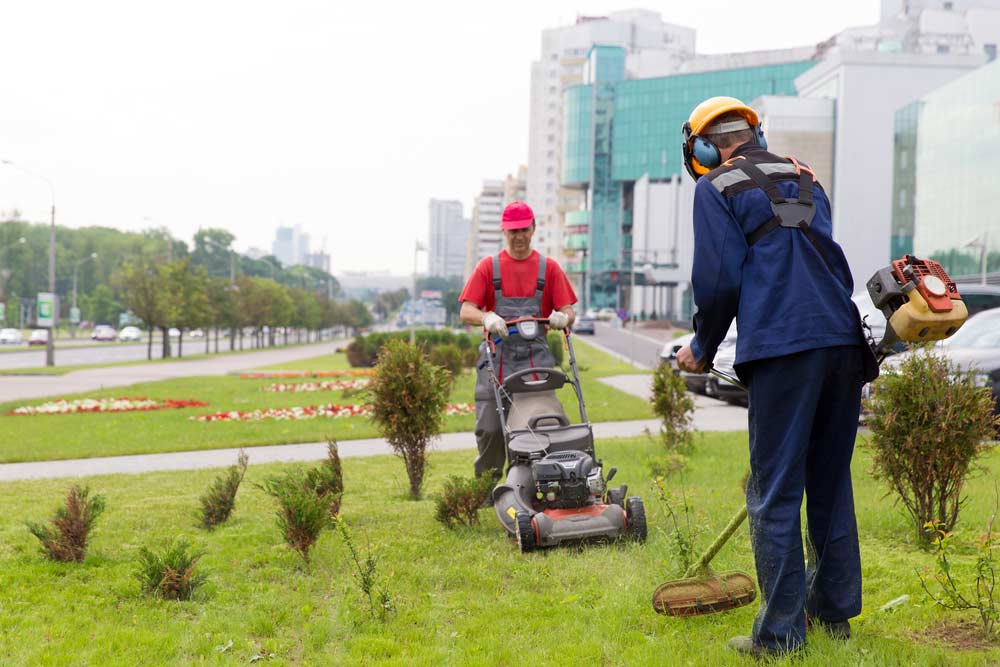 City Gardeners Mowing Lawn — Coffs Chainsaw and Mower in Coffs Harbour, NSW