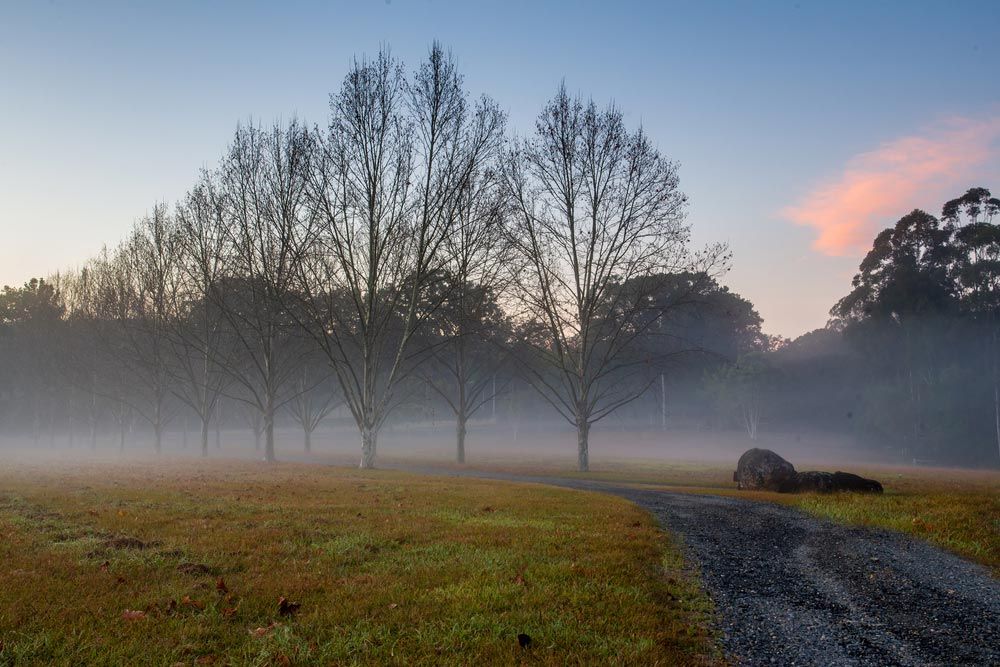 Foggy Morning Landscape In Bellingen — Coffs Chainsaw and Mower in Bellingen, NSW