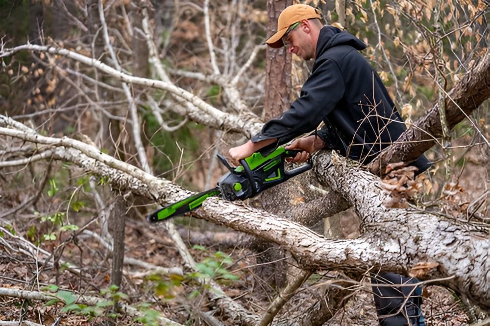 A Man is Cutting a Tree Branch With a Chainsaw in the Woods — Coffs Chainsaw and Mower in Nambucca Heads, NSW