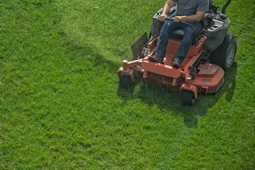 Landscaper Riding Zero Turn Mower — Coffs Chainsaw and Mower in Urunga, NSW
