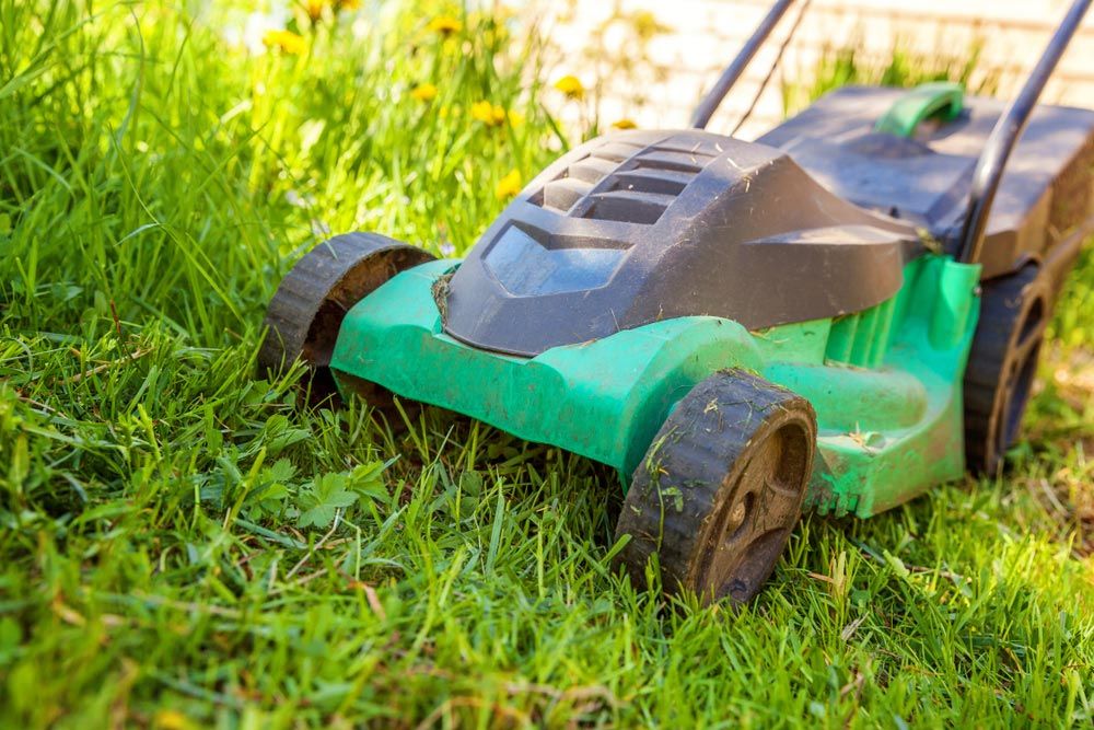 Lawn Mower Cutting Green Grass In A Backyard — Coffs Chainsaw and Mower in Macksville, NSW