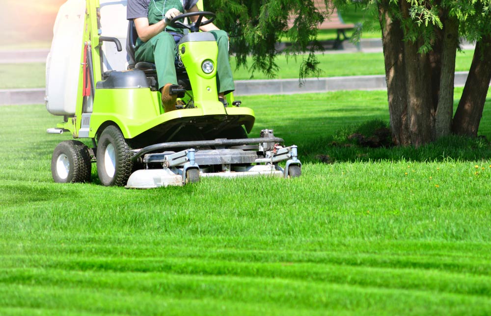 Lawn Mower On A Green Lawn — Coffs Chainsaw and Mower in Grafton, NSW