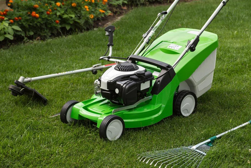 Green Push Mower — Coffs Chainsaw and Mower in Coffs Harbour, NSW