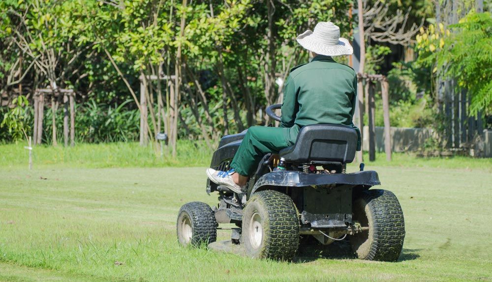 Ride-On Lawn Mower Cutting Grass — Coffs Chainsaw and Mower in Bellingen, NSW