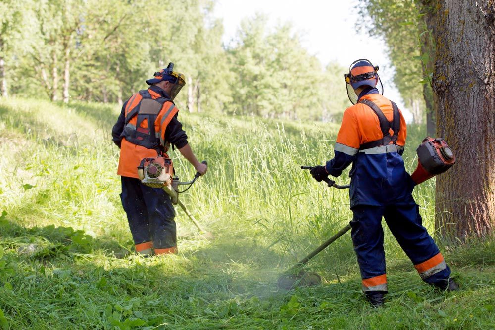 Two Landscapers Mowing Grass — Coffs Chainsaw and Mower in Grafton, NSW