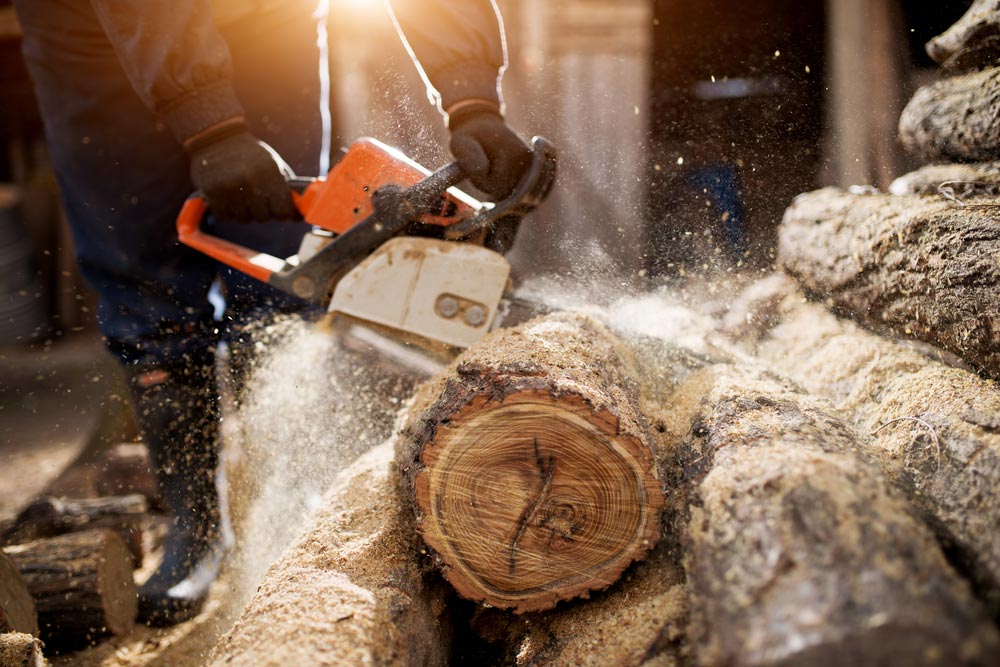 Woodcutter Cutting Tree With Chainsaw — Coffs Chainsaw and Mower in Coffs Harbour, NSW