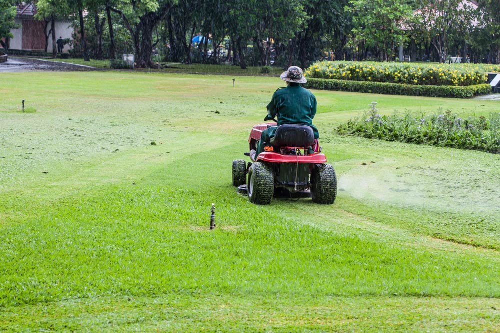 Worker Using Ride On Mower To Trim Lawn — Coffs Chainsaw and Mower in Grafton, NSW