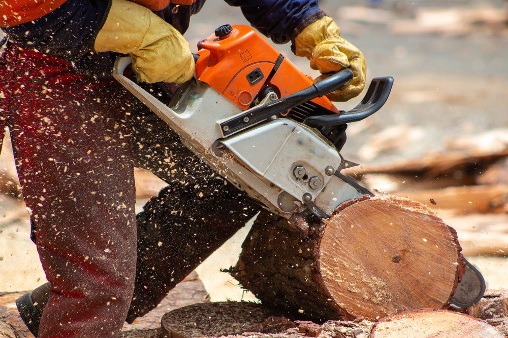 Man Cutting A Log With Chainsaw — Coffs Chainsaw and Mower in Macksville, NSW