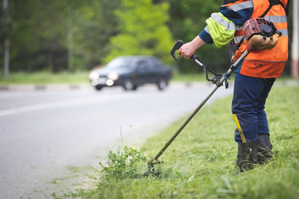 A Worker Using Brush Cutter — Coffs Chainsaw and Mower in Kempsey, NSW