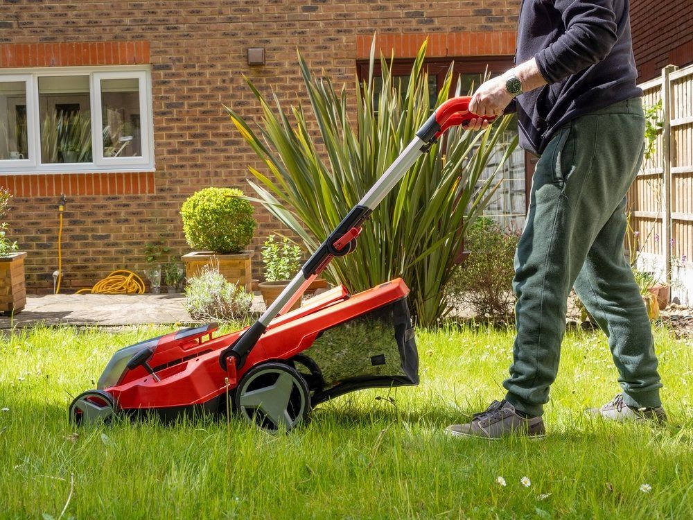 Gardener Using A Cordless Battery Powered Mower — Coffs Chainsaw and Mower in Bellingen, NSW