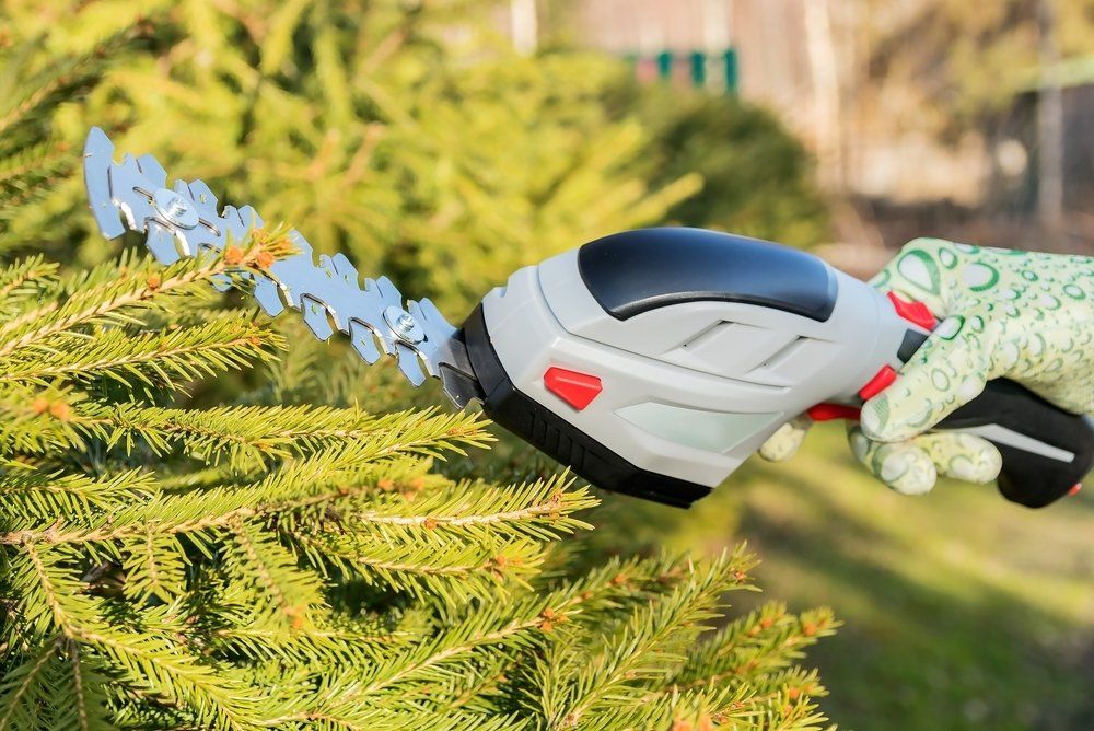 Hedge Trimmer — Coffs Chainsaw and Mower in Grafton, NSW