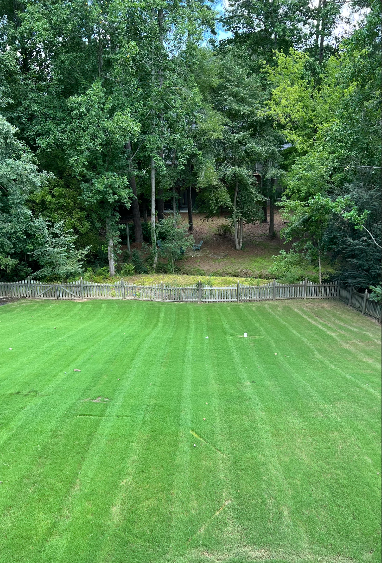 RC Landscapes' expert lawn striping in a private fenced backyard.