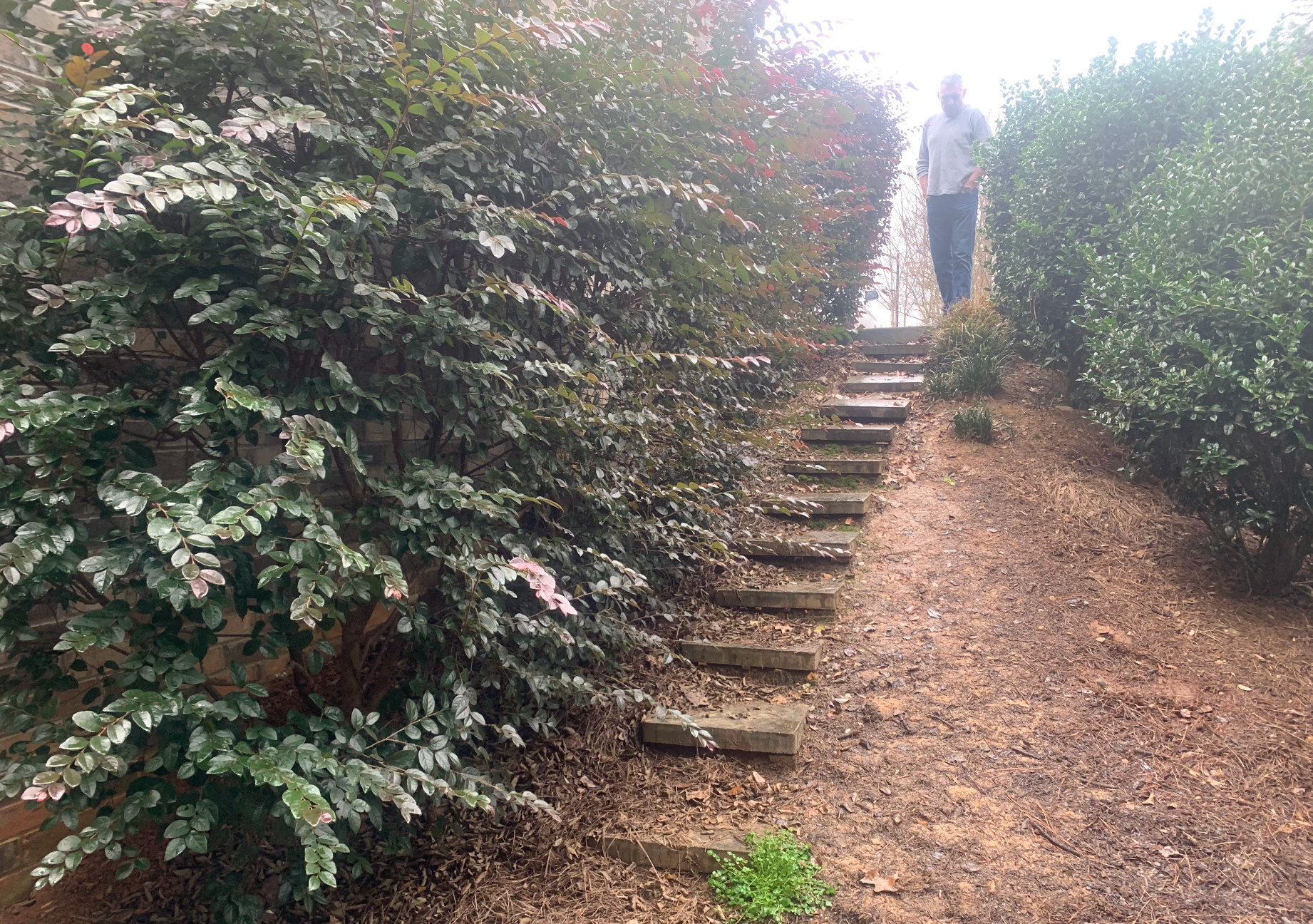 Woodland stairway installation in progress by RC Landscapes.