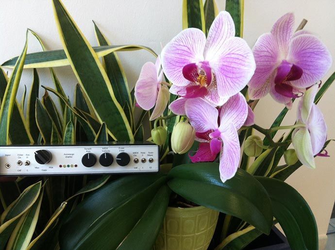 1999 DEVICE WITH INTERNAL SYNTHETIZE