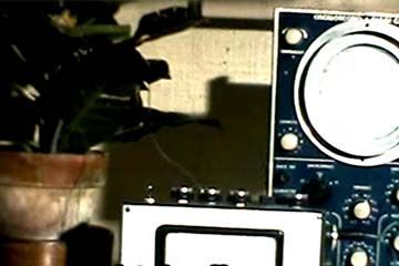 First Prototypes of Music of the Plants