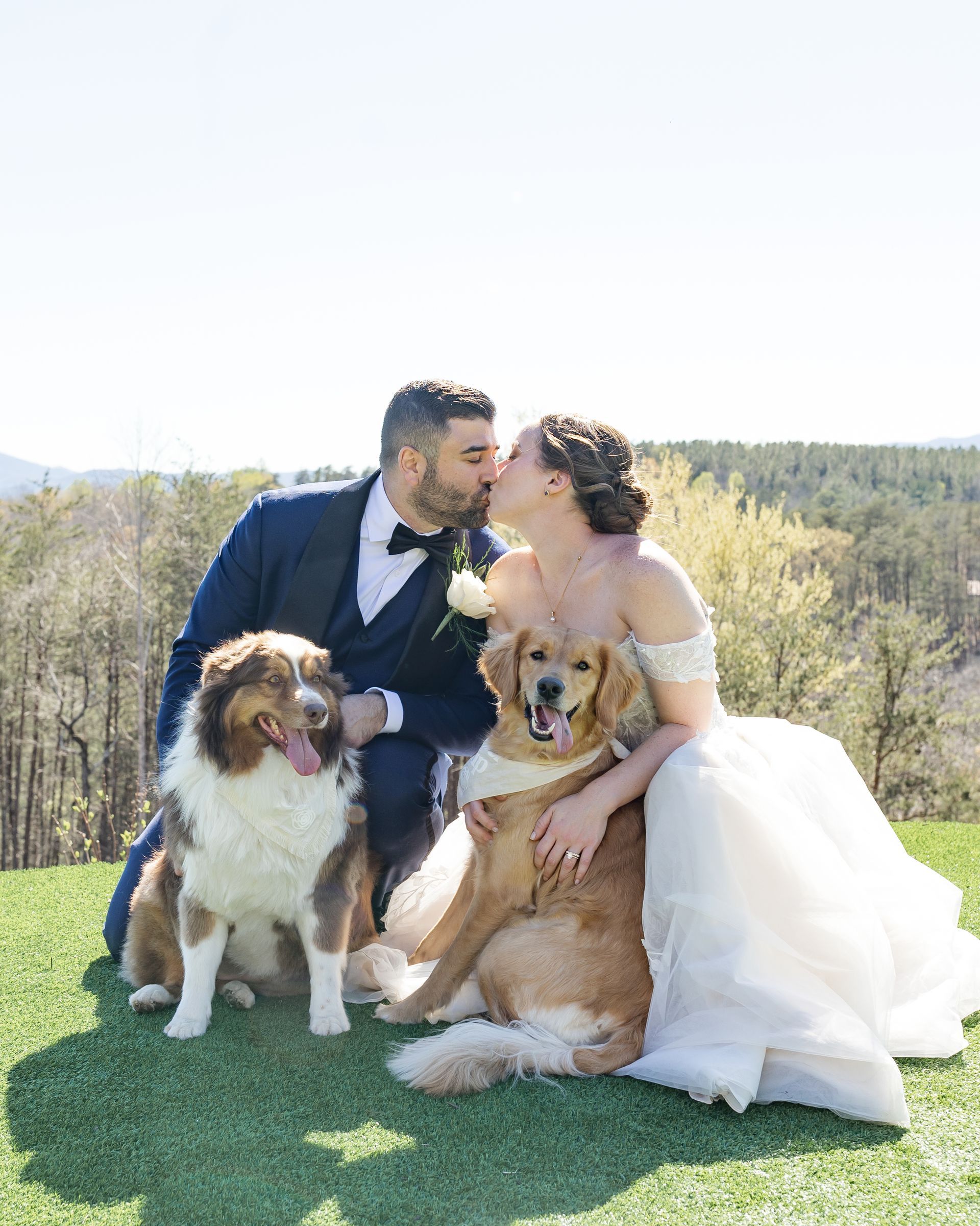 Bride and groom kissing with two dogs on the ceremony lawn at Serenity Ridge wedding venue in Mill Spring, NC near Asheville and Lake Lure