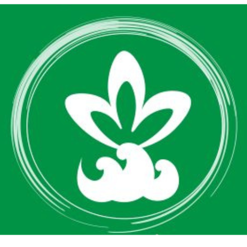 Une fleur blanche est dans un cercle vert sur un fond vert.