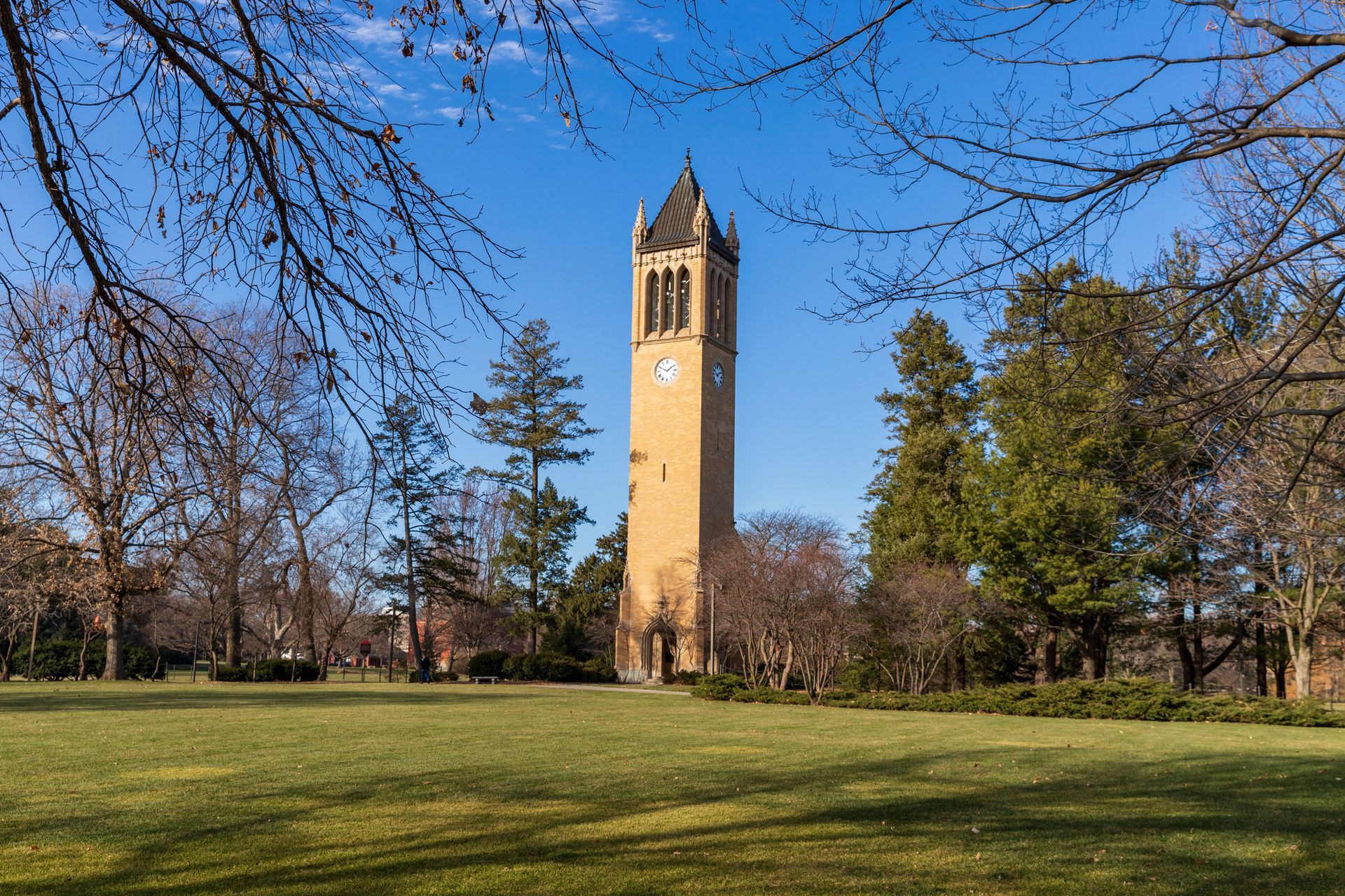 Tall clock tower in a green park on a sunny day, framed by bare tree branches.