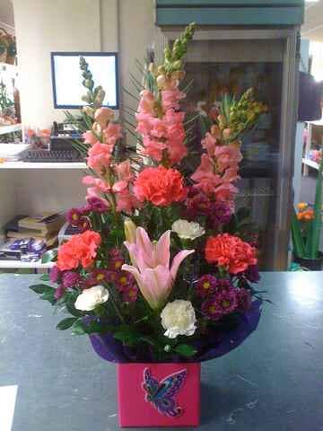 Snapdragons and Carnations — Tall Pines Florist in Rockhampton, QLD