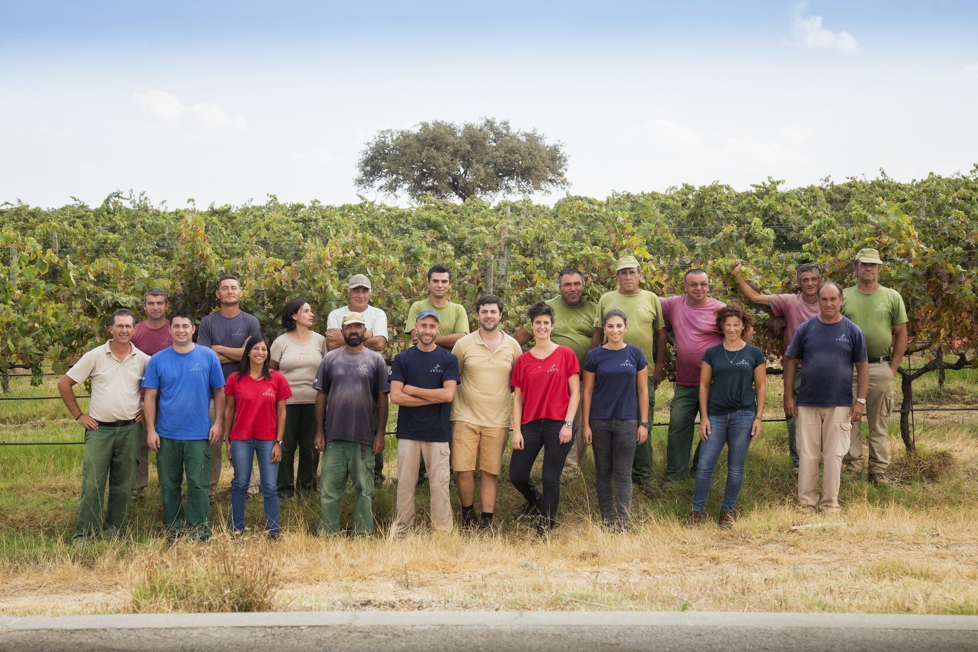 Group of people posing in front of a vineyard; several wearing hats and colorful shirts, sunny day.