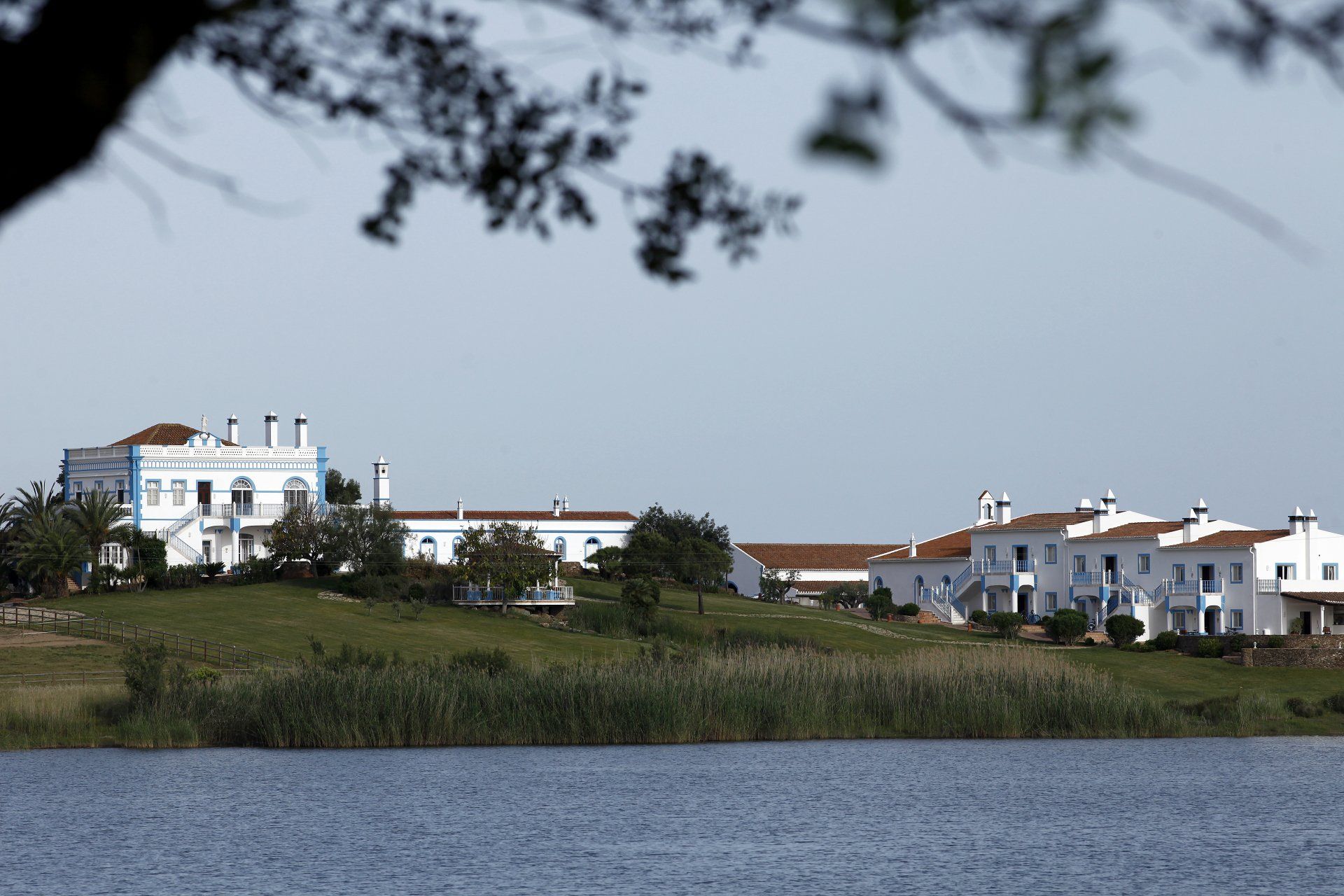 White buildings on a hill by a lake; tree branches in the foreground.