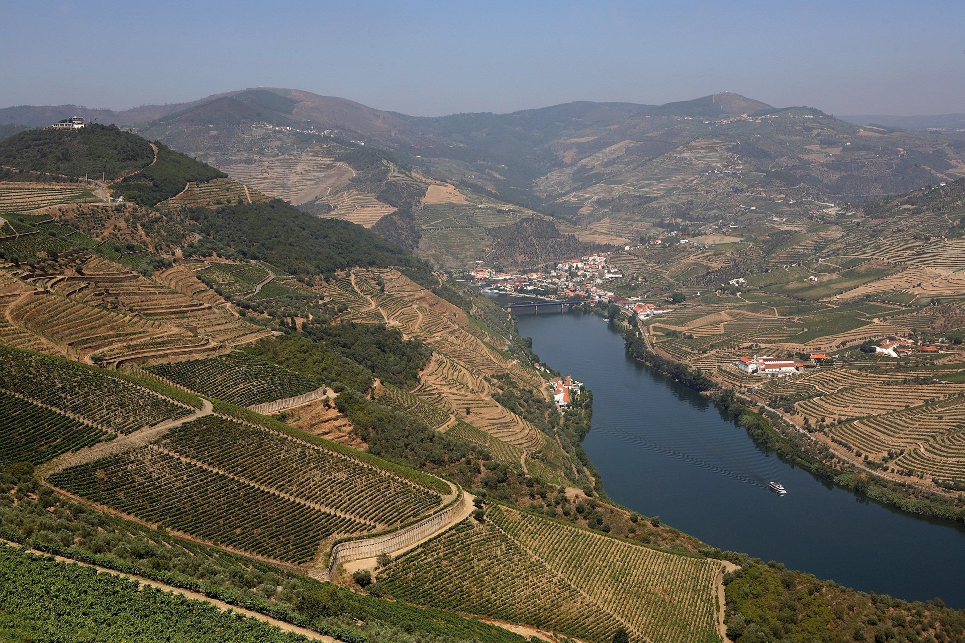 River winding through a valley of terraced vineyards and hills under a sunny sky.