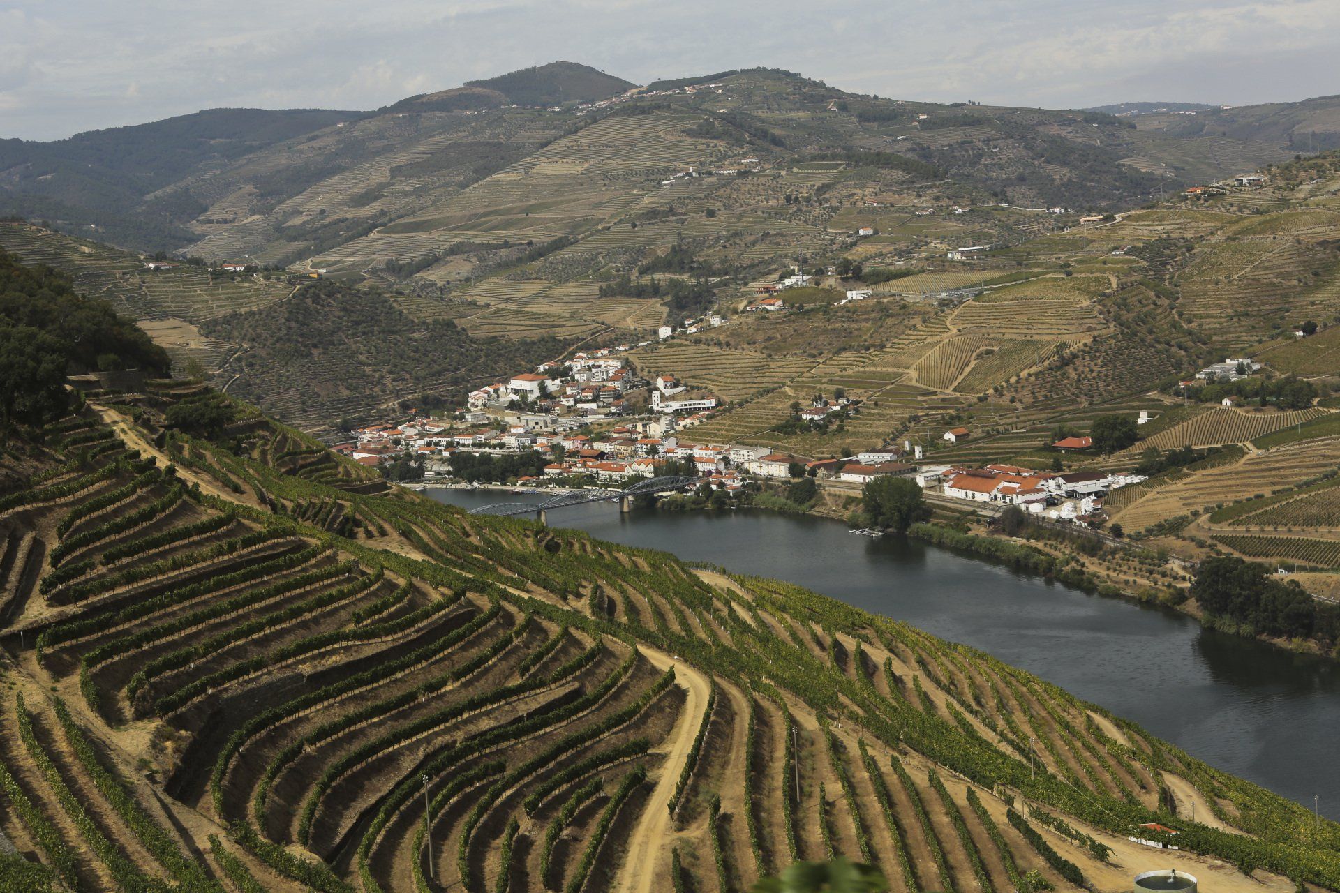 Terraced vineyards on hillside overlooking river and village.