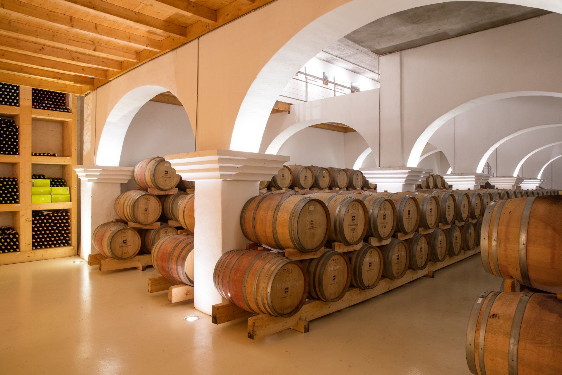 Wine cellar with arched white walls, wooden barrels, and racks of wine bottles.