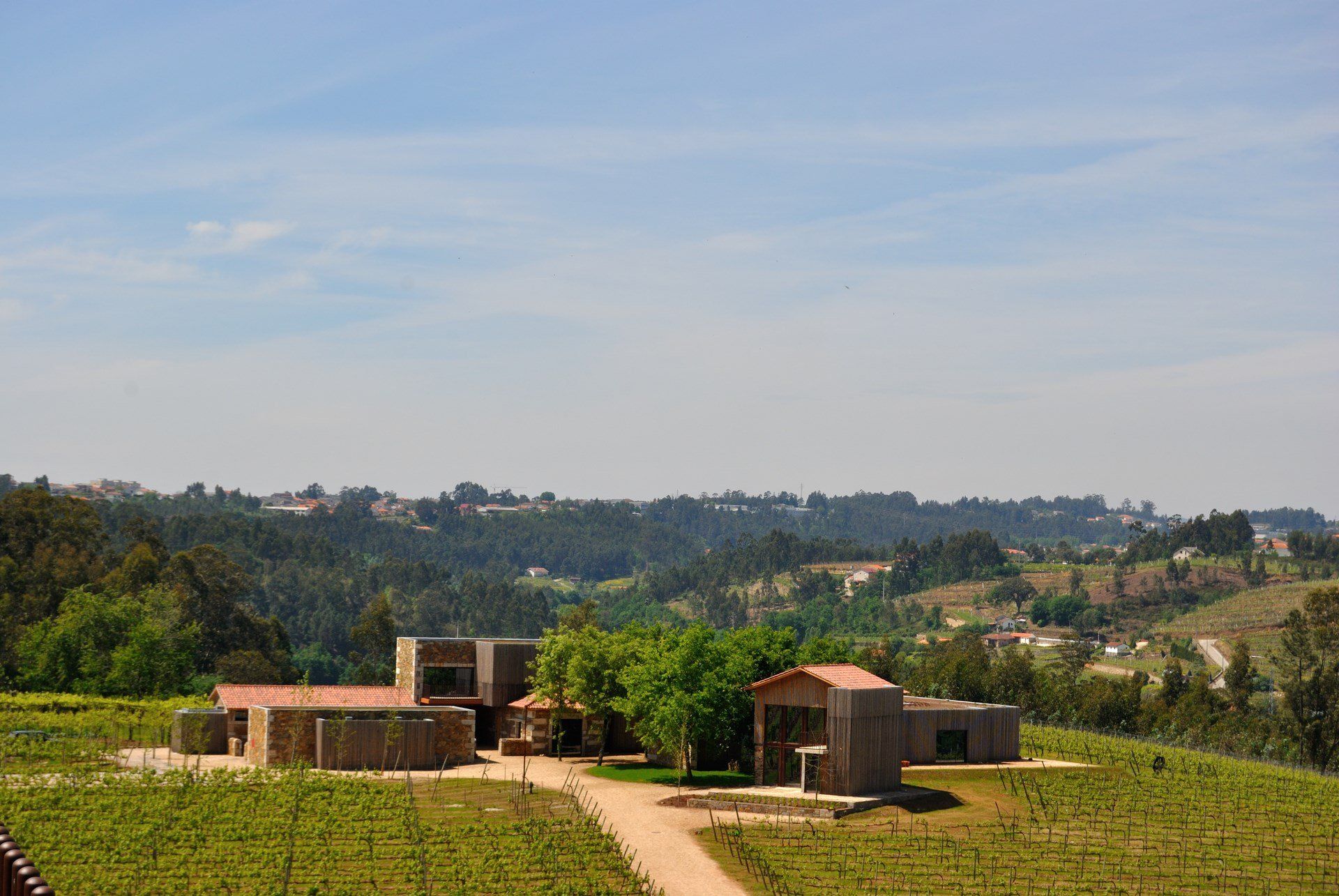 Building with a vineyard in the foreground and a tree-covered hillside in the background under a blue sky.