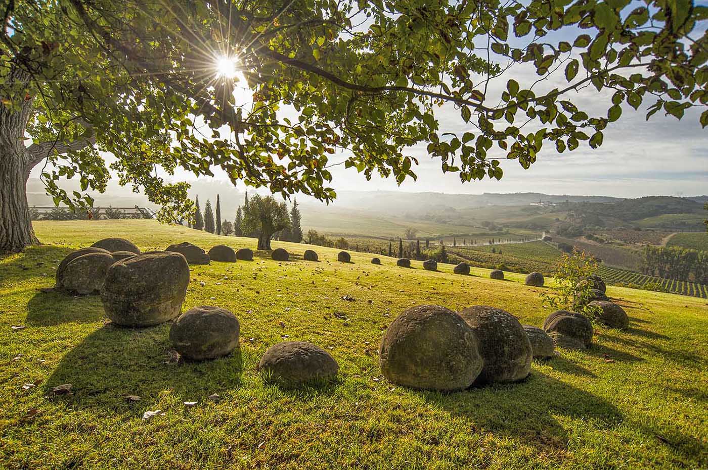 Sunlit landscape with a circle of stones on a grassy hill, tree in the foreground, rolling hills in the background.
