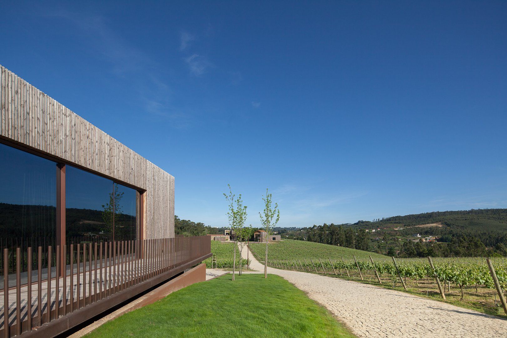 Wooden building with large window overlooking vineyard on a sunny day.