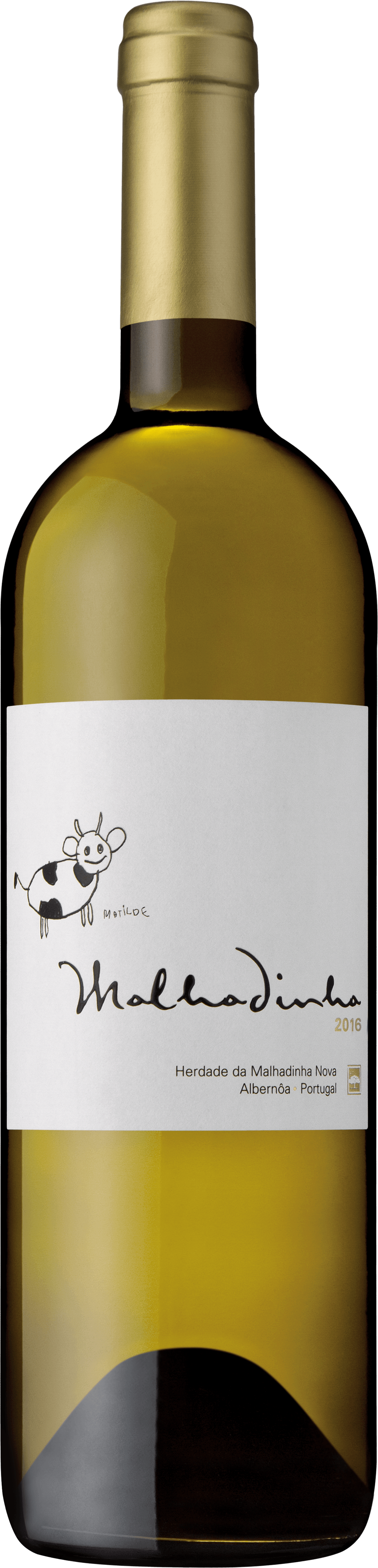A bottle of white wine with a white label, the neck is gold-colored.