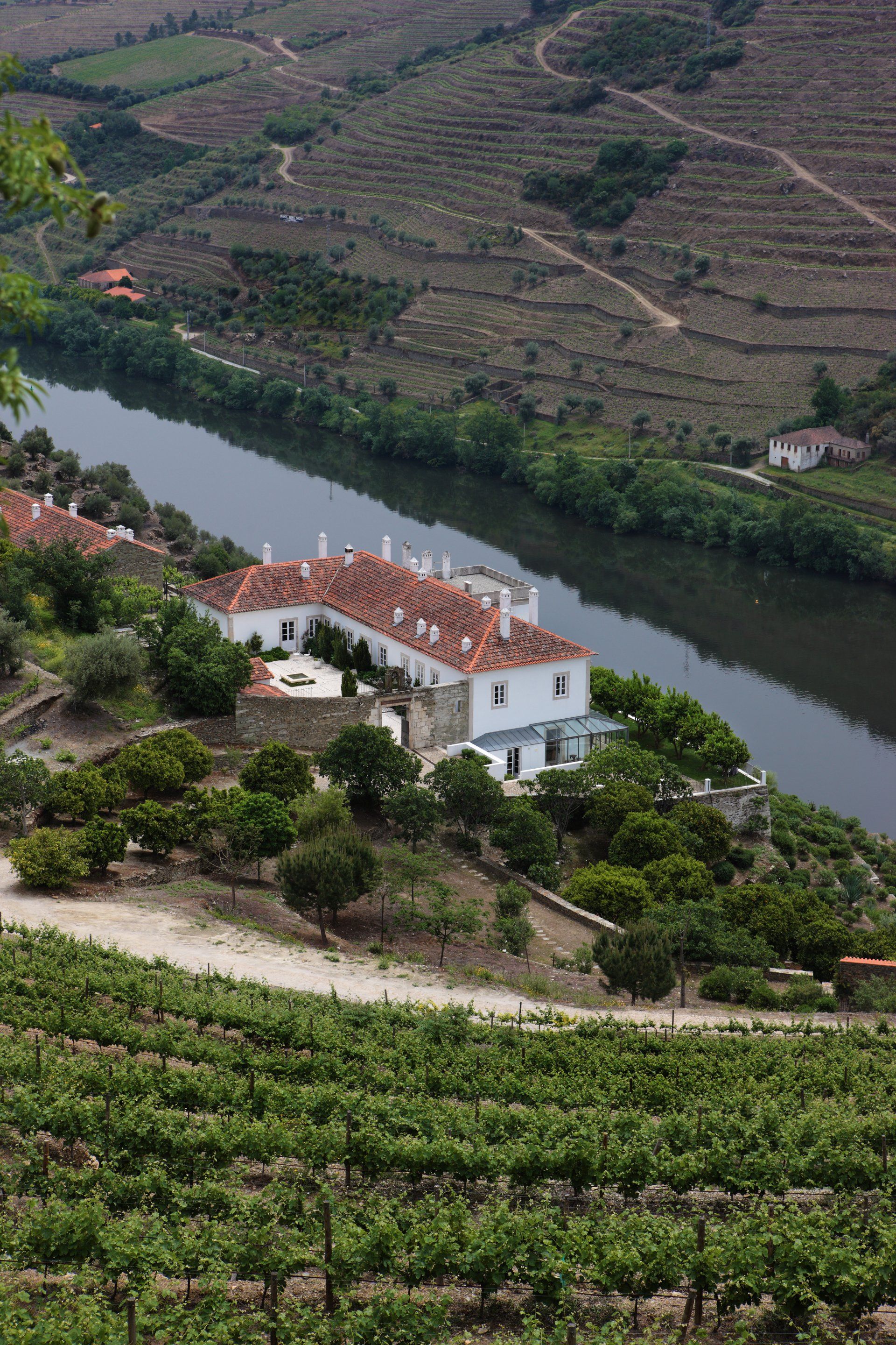Vineyard and white villa with red tile roof next to river in Portugal.