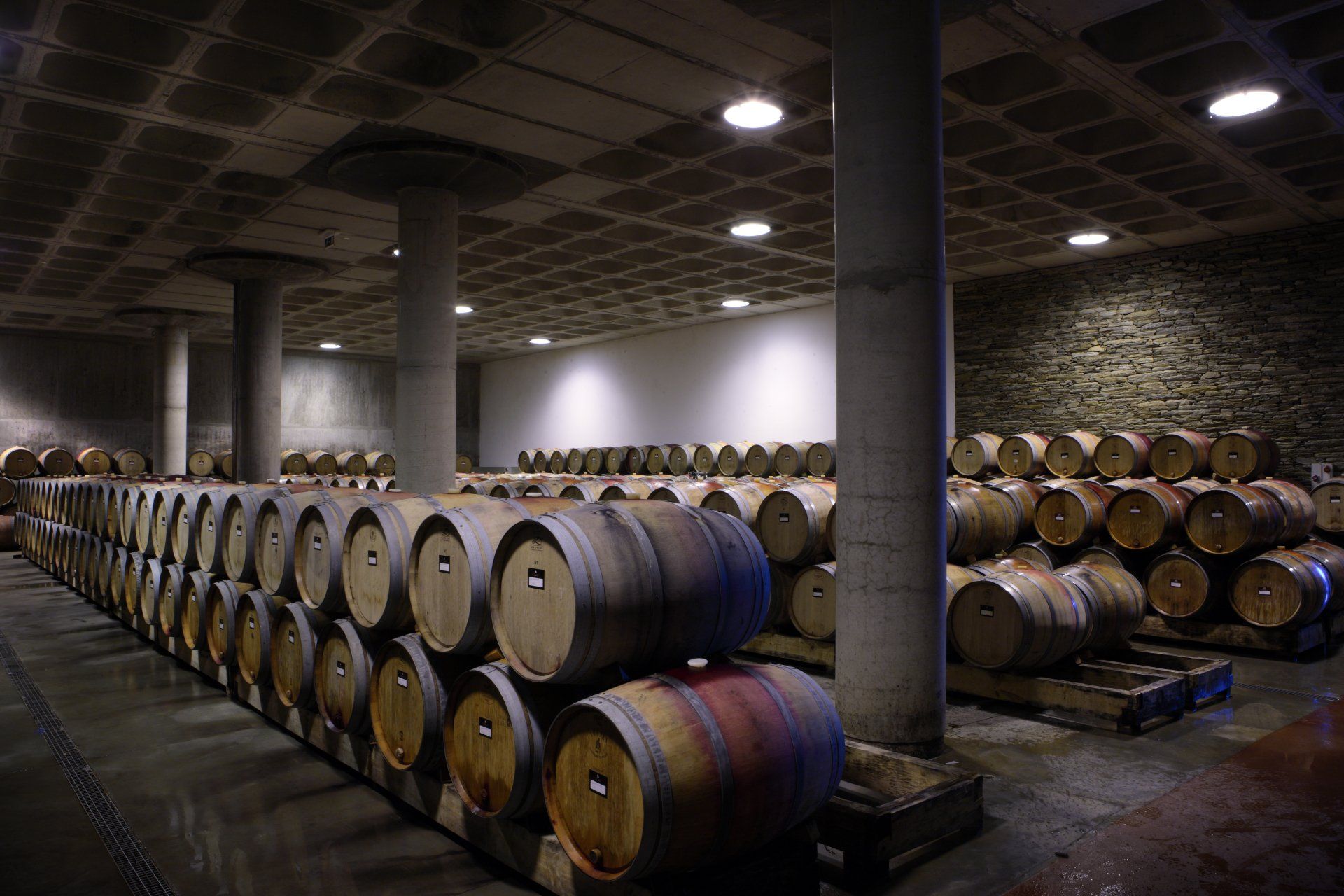 Wine barrels stacked in a cellar, under concrete ceiling and supported by columns.