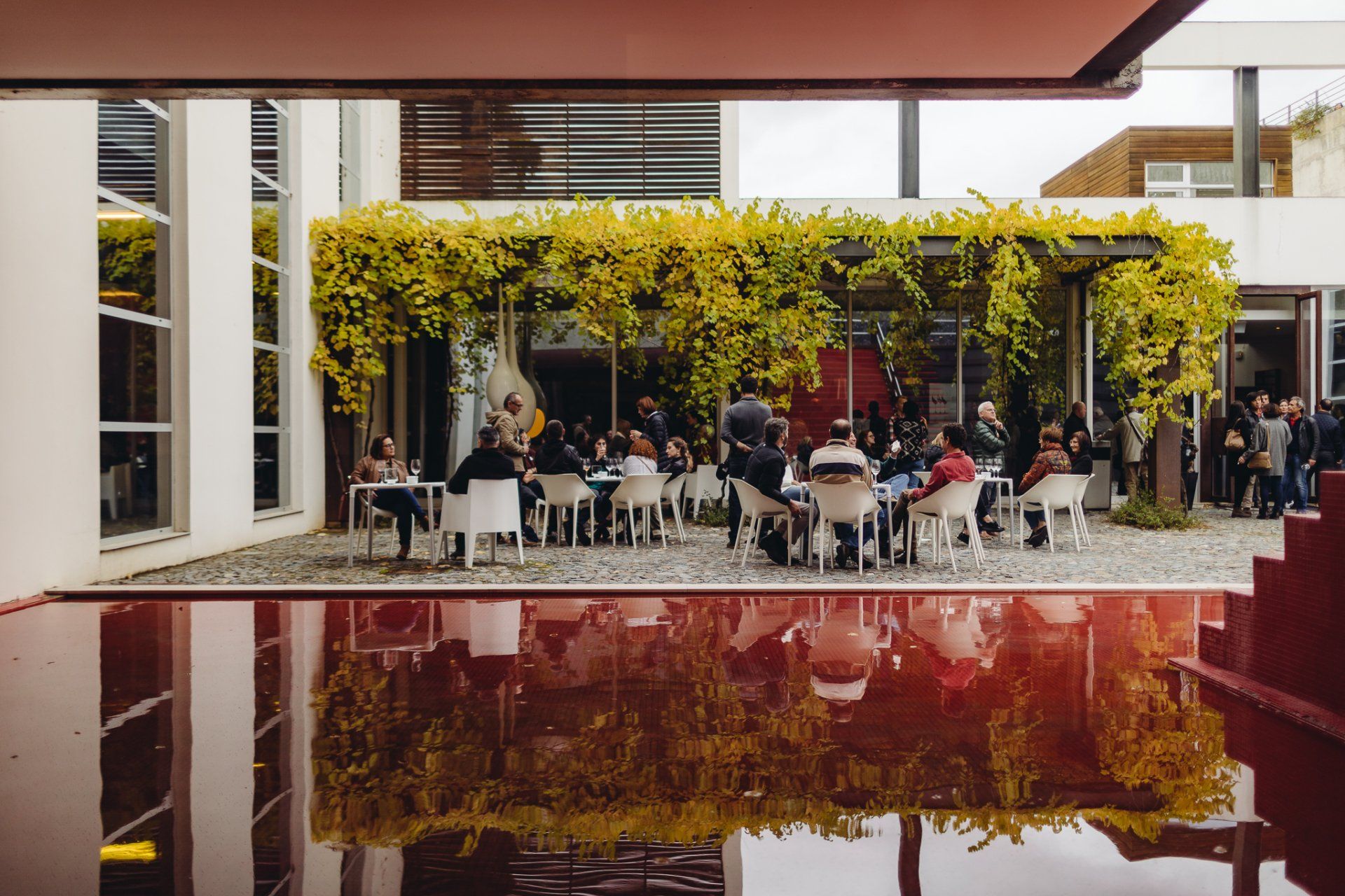 Courtyard with people seated at tables under a vine-covered pergola, reflected in a red-tinted pool.