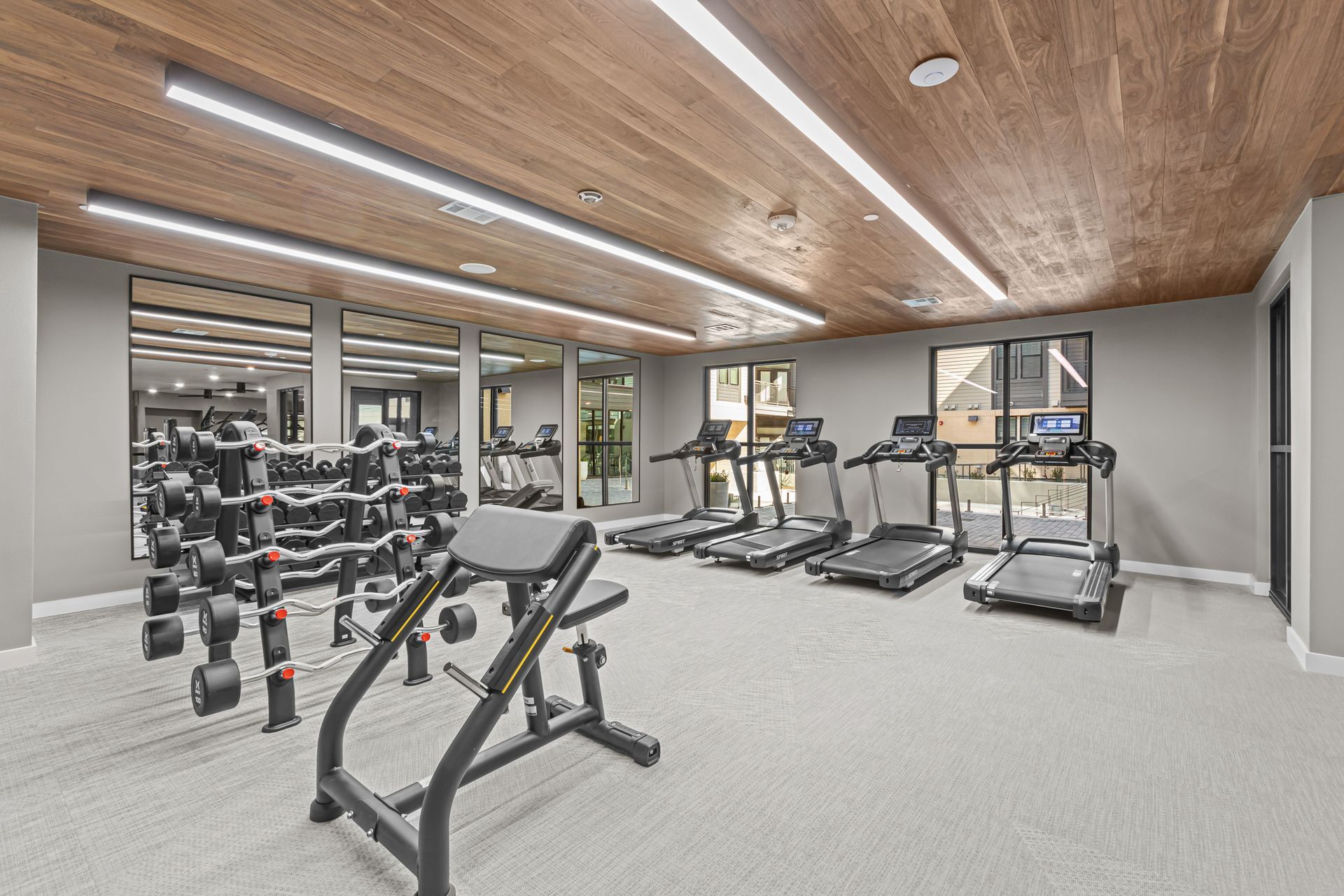 A large gym filled with treadmills and dumbbells.