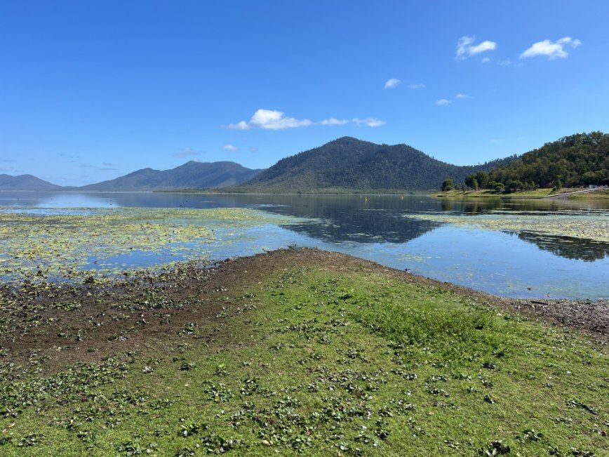 A Lake With Mountains in the Background and a Grassy Shoreline — Whitsunday Mowers In Proserpine, QLD