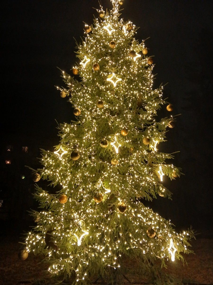 Ilona Ozola - Dziedināšanas sesijas klātienē un attālināti