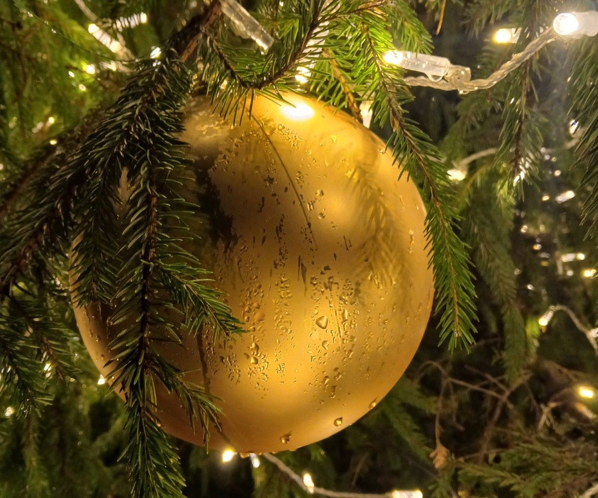 Ilona Ozola - Dziedināšanas seanss